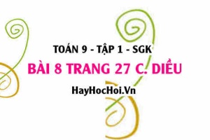 Bài 8 trang 27 Toán 9 tập 1 Cánh Diều